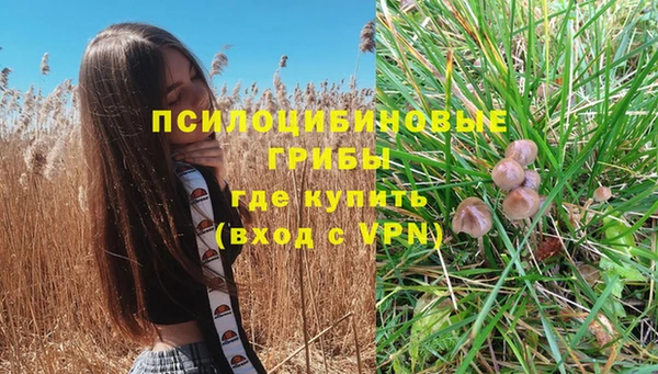 крисы Верхнеуральск