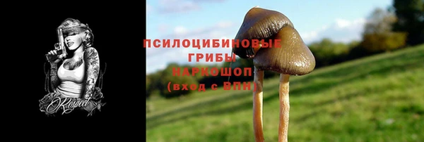 крисы Верхнеуральск